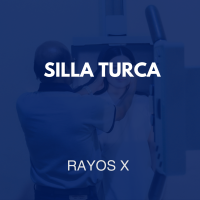 /rayosx/15