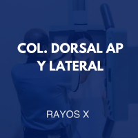 /rayosx/29