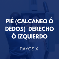 /rayosx/56