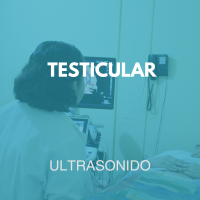 ultrasonido/12