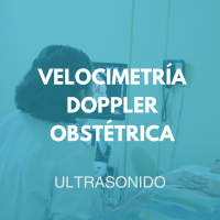 ultrasonido/24
