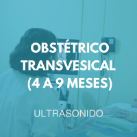 ultrasonido/8
