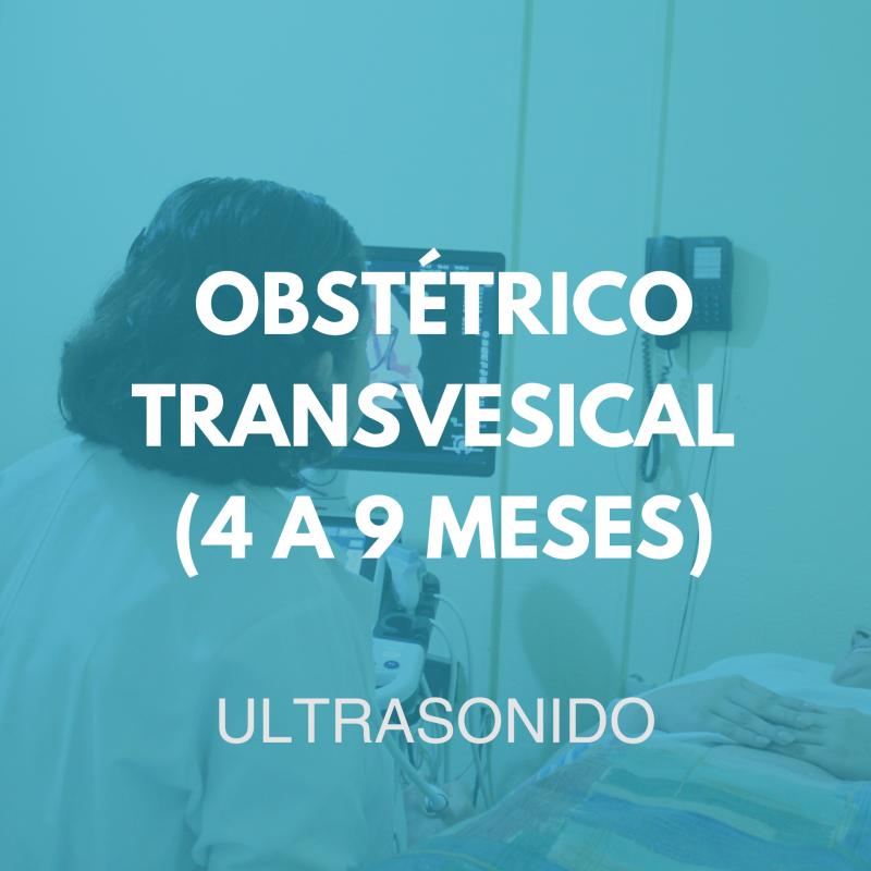 ultrasonido/8